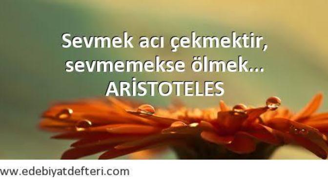 Aristoteles'e göre 'Sevmek acı çekmektir, sevmemek ölmek'. Sizce hangisi daha kötü?