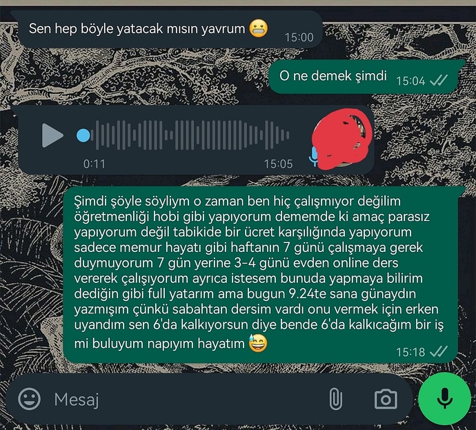 Hayatımda 1 aydır olan adamla aramızda şu şekilde diyolog geçti haksız olan ben miyim?