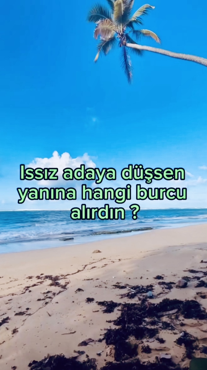 Issız bir adaya düşsen yanında hangi burçtan biri olsun isterdin😄?