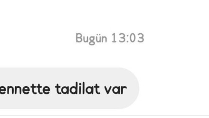 Ne tarz mesajlara cevap veriyorsunuz?