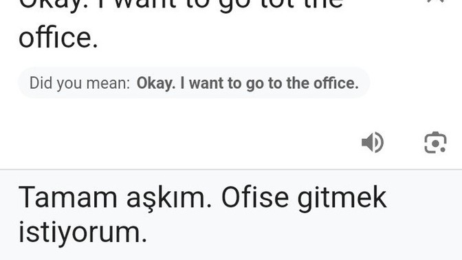 Google çeviri neden bu çılgın çevirileri yapıyor? Örneğin "Tamam = tamam aşkım". Bu bir şaka mı?