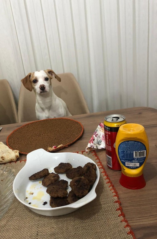Sizce yemek yapan erkekler daha mı yumuşak huyludur?