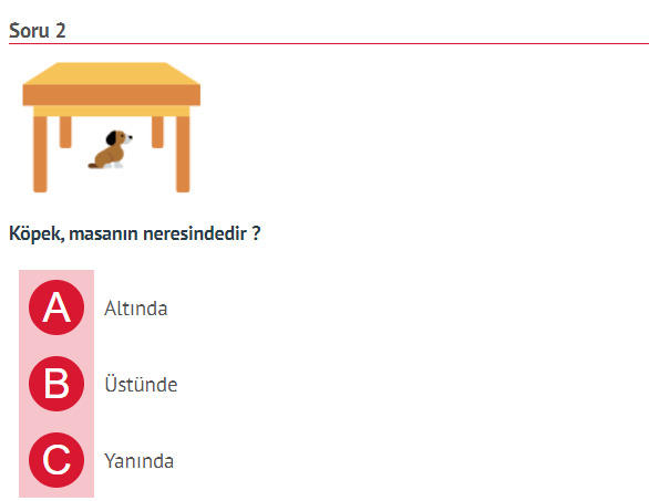 Sorulara soruyla karşılık verir misiniz?
