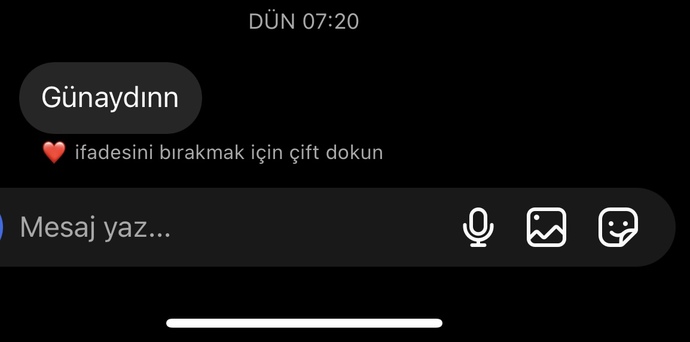 1gündür benden hoşlanan çocuğun mesajına cevap vermedim?