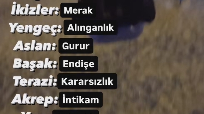 Senin burcunun önüne geçemediği duygusu neymiş?