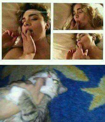 Ne mod'dasiniz?