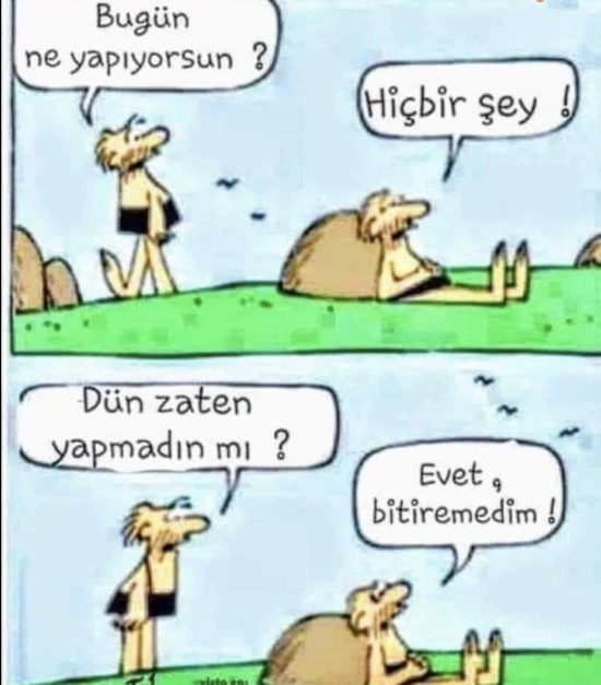 Bugün neler yapıyorsunuz, yapacaksınız?