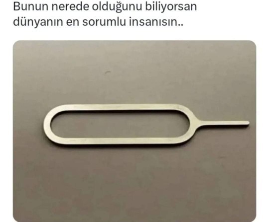 Sizin en buyuj sorumlulugunuz nedir?