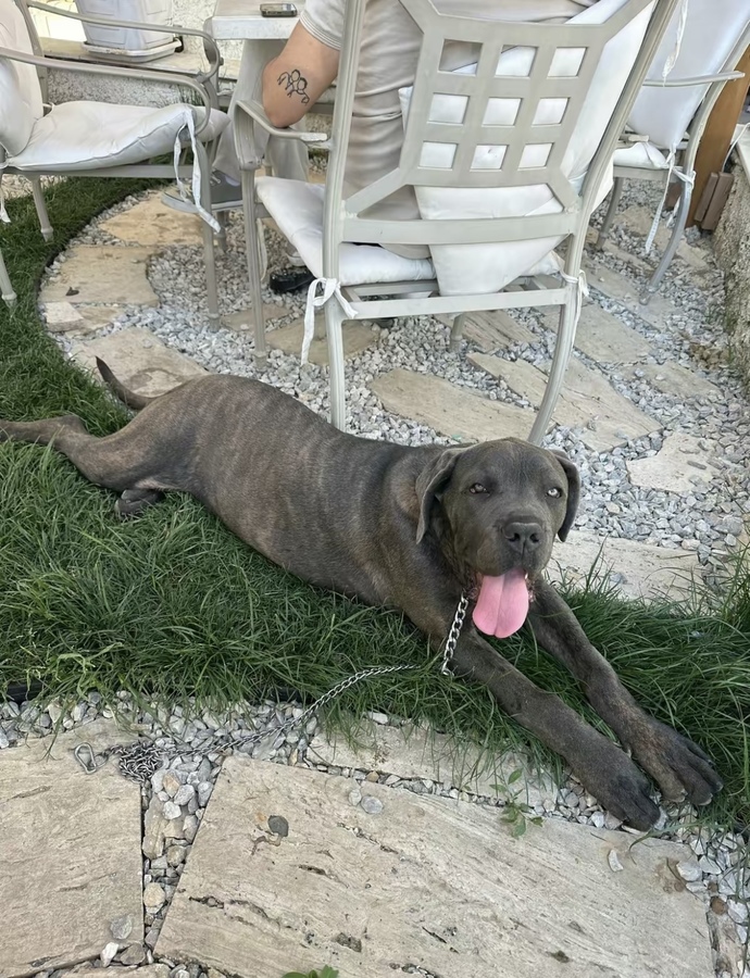 Nazara inanır mısınız yaklaşık etkilerini kaç saatte gösterir?