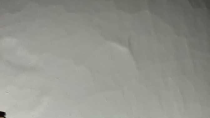 Adetim 3 gün gecikti Silik çizgi çıktı hamilemiyim?
