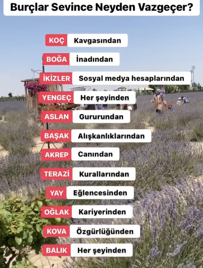 Burcunuza göre sevince nelerden vazgeçersiniz?