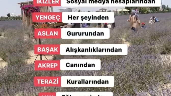 Burcunuza göre sevince nelerden vazgeçersiniz?