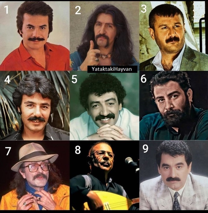 Hangisinin konserine giderdiniz?