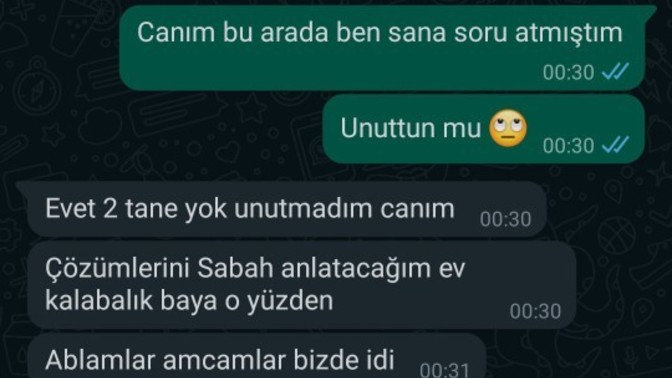 Erkek arkadaşımla tanışalı 2 ayı geçti şu an sevgiliyiz hala her kelimesi canım normal mi?