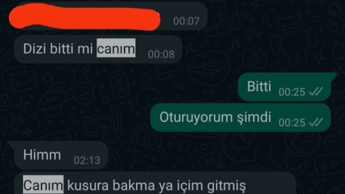 Arkadaşlar sevgilimin bu kadar canım demesi normal mi sizce ayrıca açıklama yapmadan uyudu sonda?
