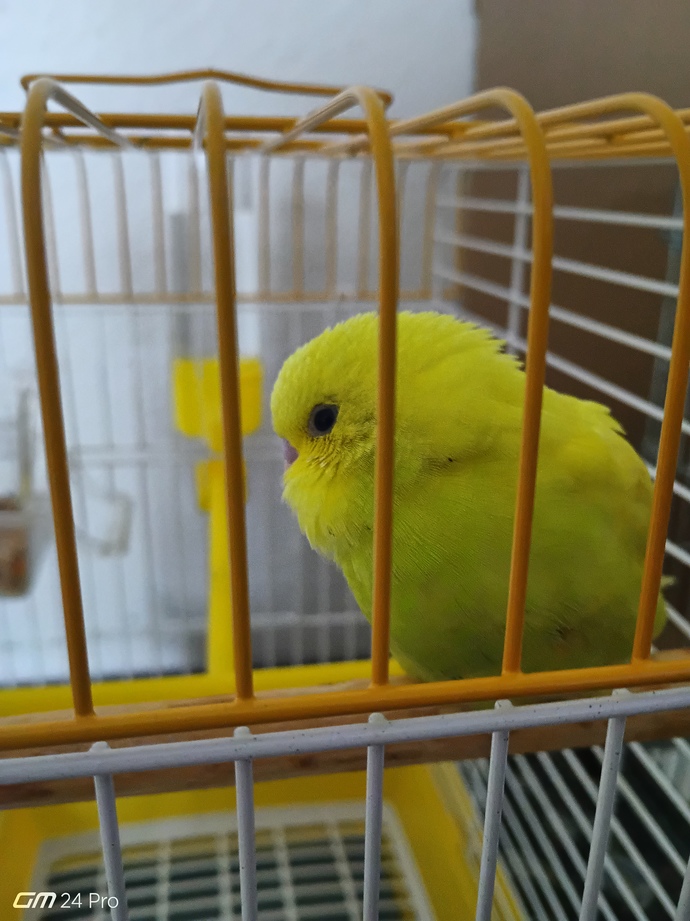 Hayatınızın geri kalanında tek bi kişiyle yaşama şansınız olsaydı, bu kim olurdu?