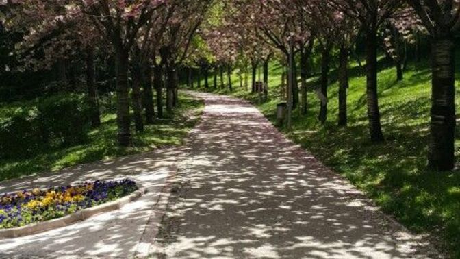 Açık havada yürüyüşü mü tercih edersiniz yoksa spor salonunu mu?