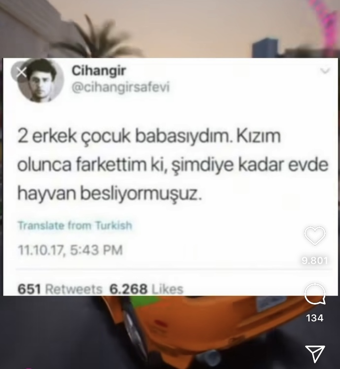Evinizde evcil hayvanınız var mı?