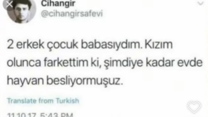 Evinizde evcil hayvanınız var mı?