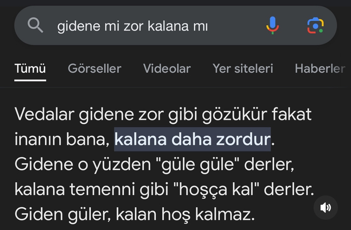 ciddi ciddi cevap da veriyormuş 😄