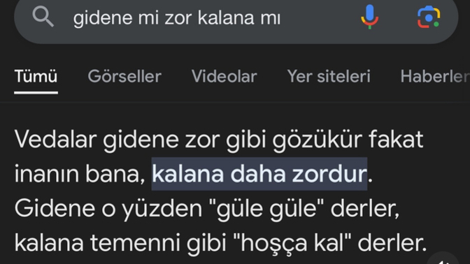En son Google amcaya ne sordun 😄?