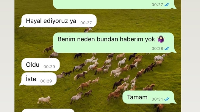 20 gündür konuştuğum çocukla mesajlarımız... Sizce bu çocuktan olur mu?