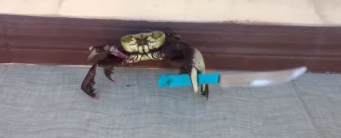 Hangi burç daha kötü İKİZLER VS YENGEÇ?