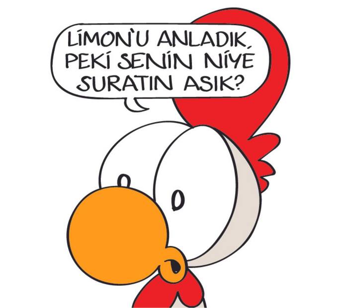 Erkekler niye bi türlü kadınları anlayamıyor anlamak istemedikleri için mi?