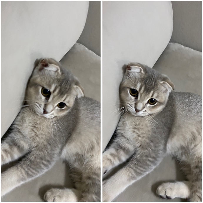 Size en iyi gelen şey ne?