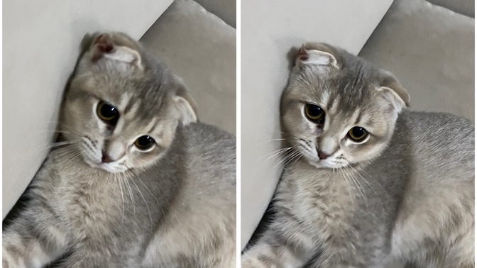 Size en iyi gelen şey ne?
