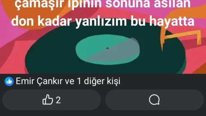 Yalnızlık neye benzer?