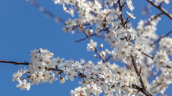 Seni değerli hissettiren bir cümle paylaşır mısın?