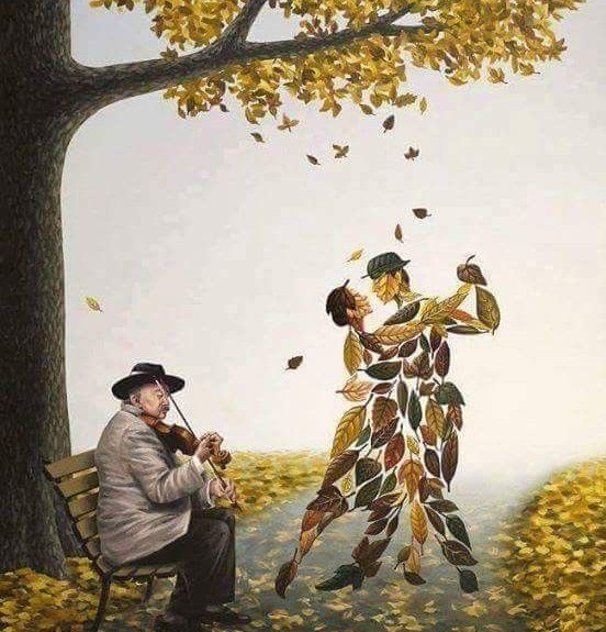 🍂🍁