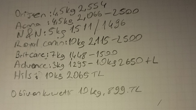 Gençler kedinize ucuz ve besleyici sağlıklı hangi mamayla besliyorsunuz?