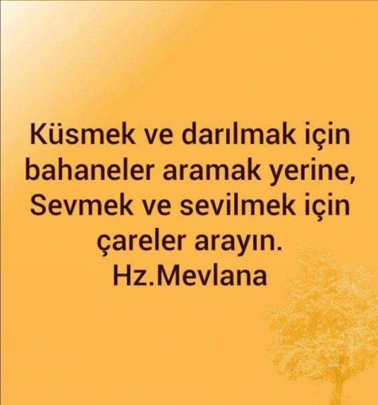 Kus olan ablamla 6 sene sonra yigenimin dugununde karşılaşicaz sizce ne yapmalıyım?