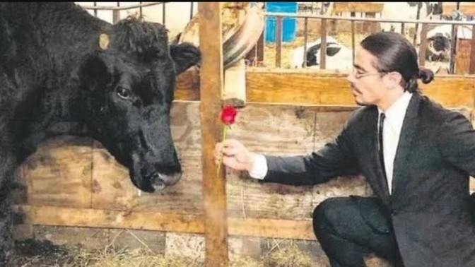 Sevgiyi gösterme şekliniz nedir?
