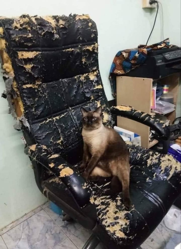 Kızdığınızda sakin kalmayı başarmak için neler yaparsınız?