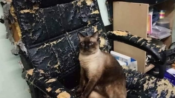 Kızdığınızda sakin kalmayı başarmak için neler yaparsınız?