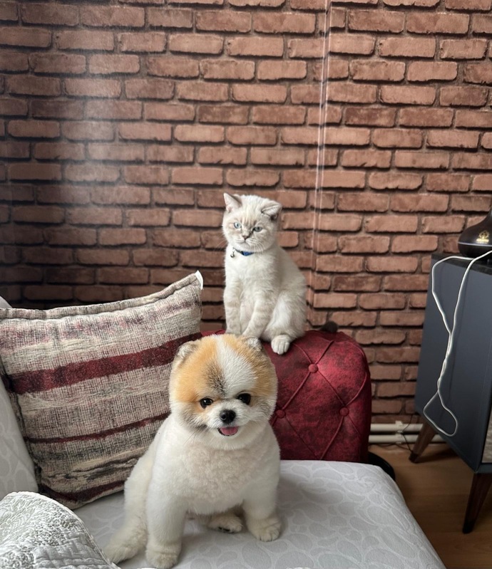 Kediyle köpek anlaştı, senle ben anlaşamadık dediğin biri oldu mu?