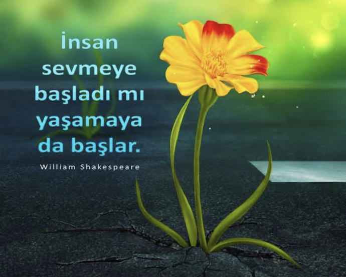 Siz Aşık olduğunuzda yaşamaya başladınız mı?