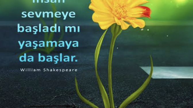 Siz Aşık olduğunuzda yaşamaya başladınız mı?