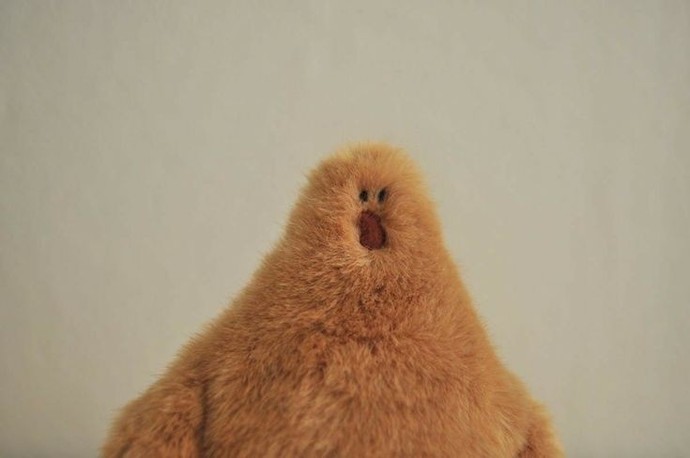 Durduk yere insanlardan soğur musunuz🐥?