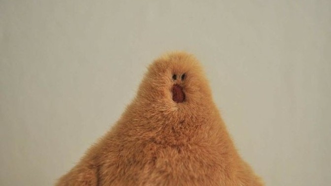 Durduk yere insanlardan soğur musunuz🐥?