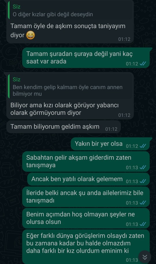 Sanalda İki buçuk aydır konuştuğum kişi annesiyle tanışmam için beni şehrine davet etti normal mi?