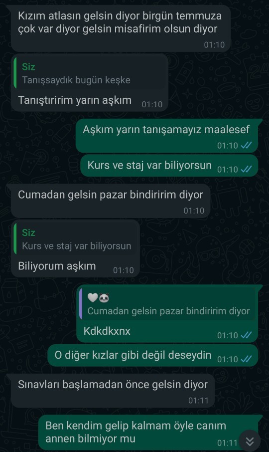 Sanalda İki buçuk aydır konuştuğum kişi annesiyle tanışmam için beni şehrine davet etti normal mi?