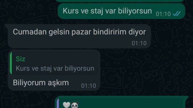 Sanalda İki buçuk aydır konuştuğum kişi annesiyle tanışmam için beni şehrine davet etti normal mi?