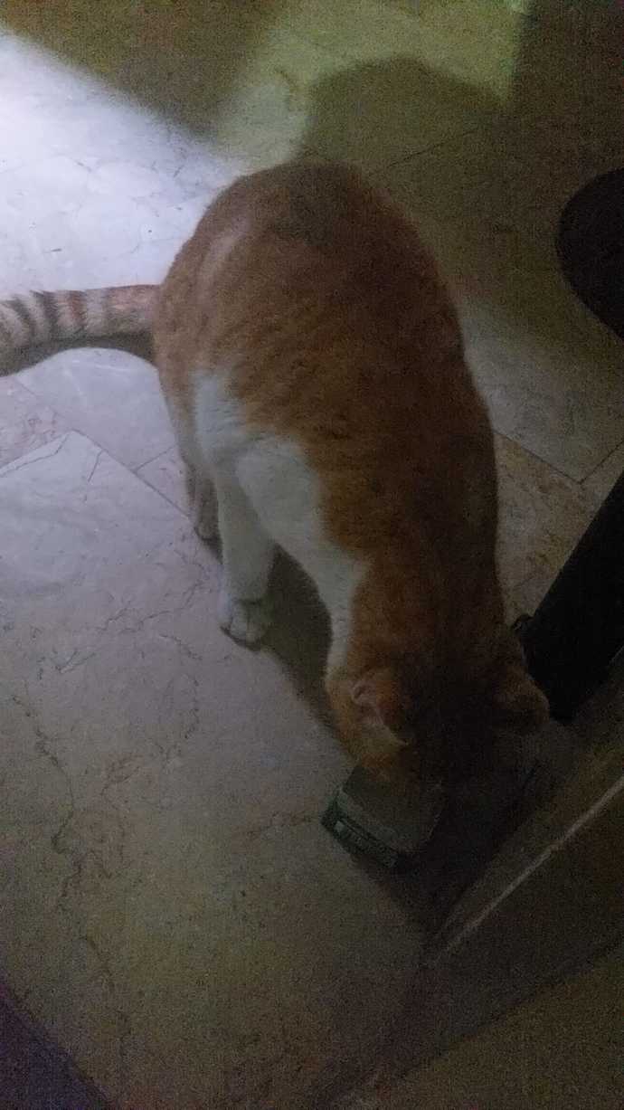 Gece gece nerden gelmiş la bu?
