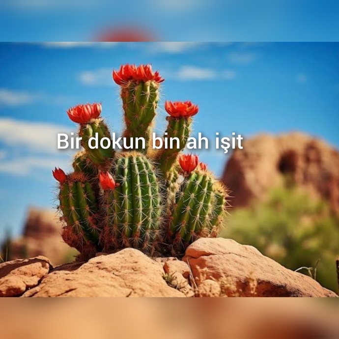 Dokunmaya kıyamadığınız ya da korktuğunuz bir şey söyleyebilir misiniz?