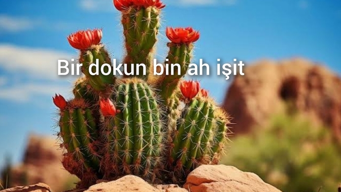 Dokunmaya kıyamadığınız ya da korktuğunuz bir şey söyleyebilir misiniz?