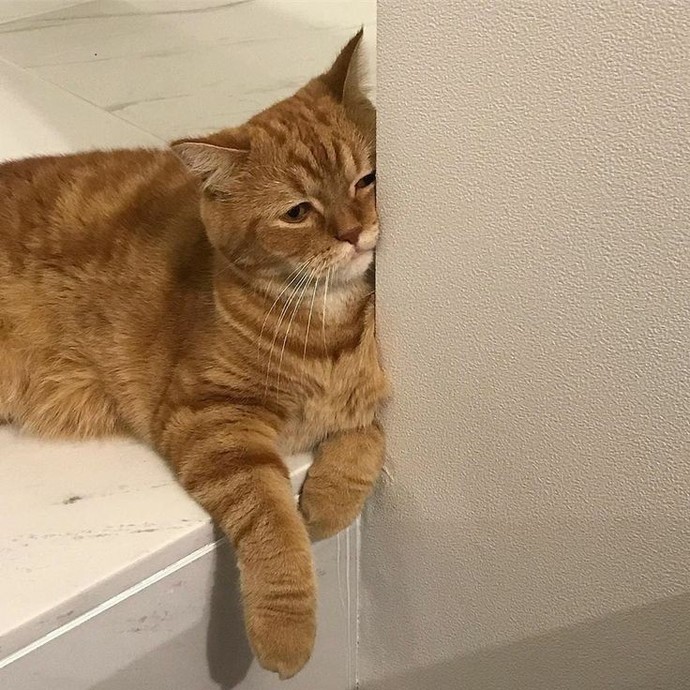 Bugün yeni hayatınızın ilk günü olsa nasıl başlamak isterdiniz ?